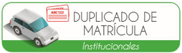 Duplicado de Matrícula
